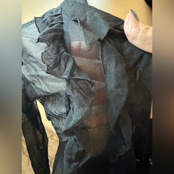 Zebra Sheer Vintage Ruffled Mesh Buttoned Blouse - Picture 9 of 12